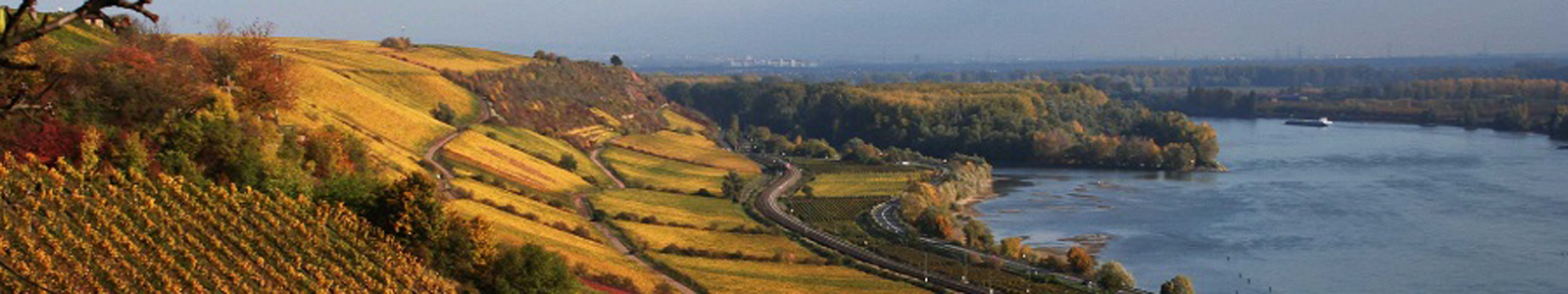 Blick oberhalb von Weinbergen auf den Rhein ©DLR